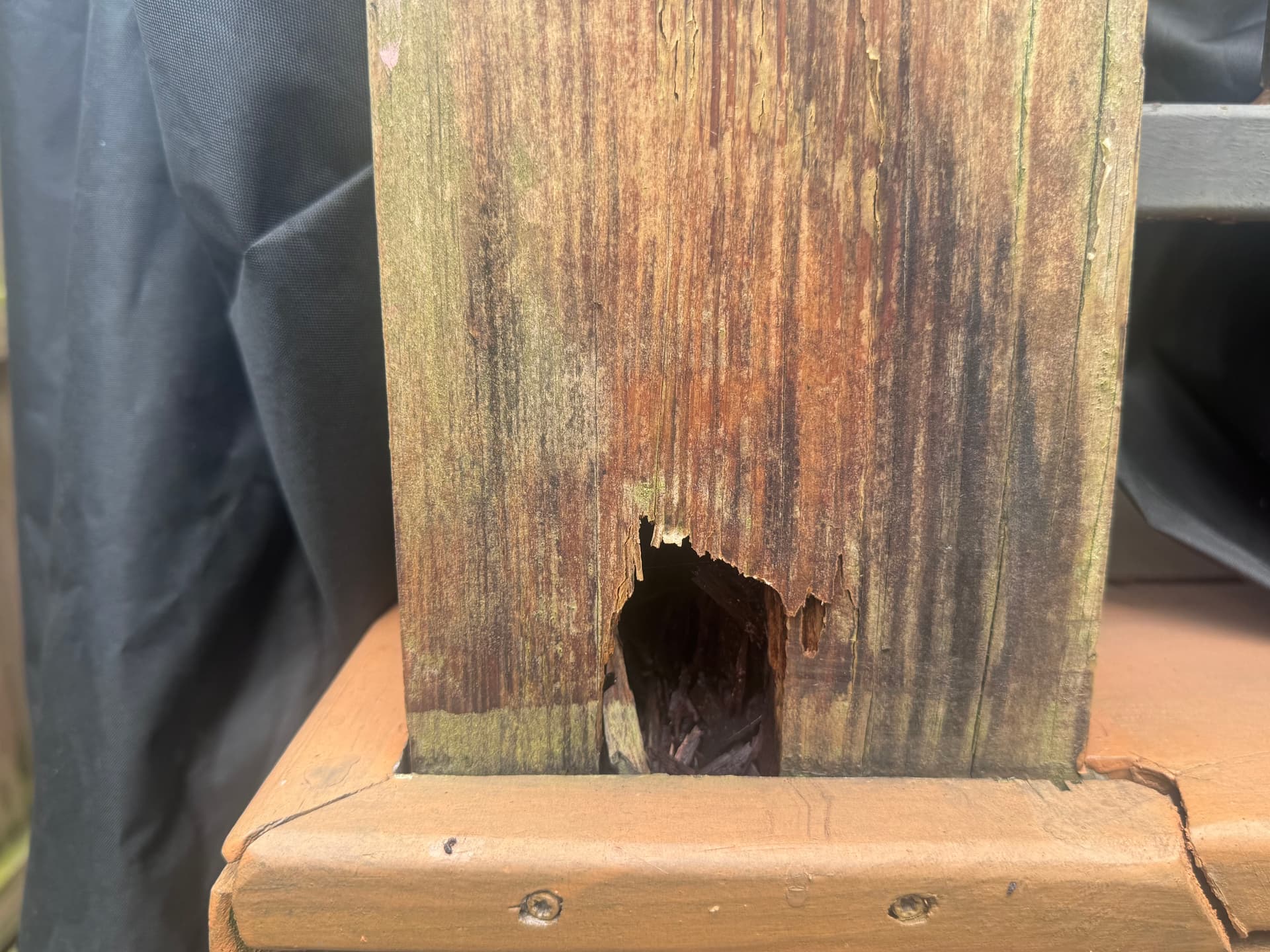 Gallery photos for Rotten Porch Posts Replaced and Finished Right in New Orleans: Image #6
