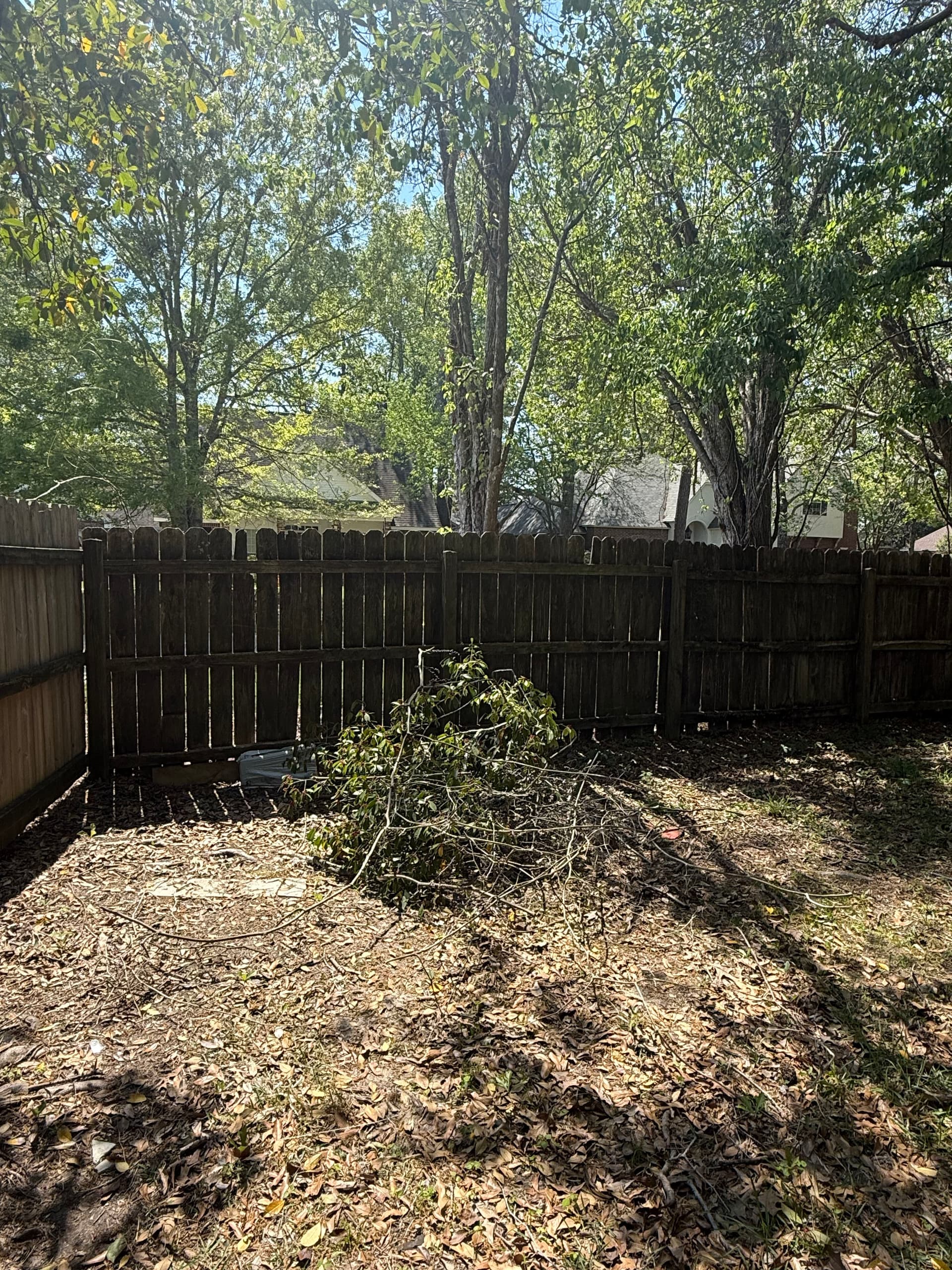 Gallery photos for New Orleans Fence Replacement Done Right in 2 Days: Image #5