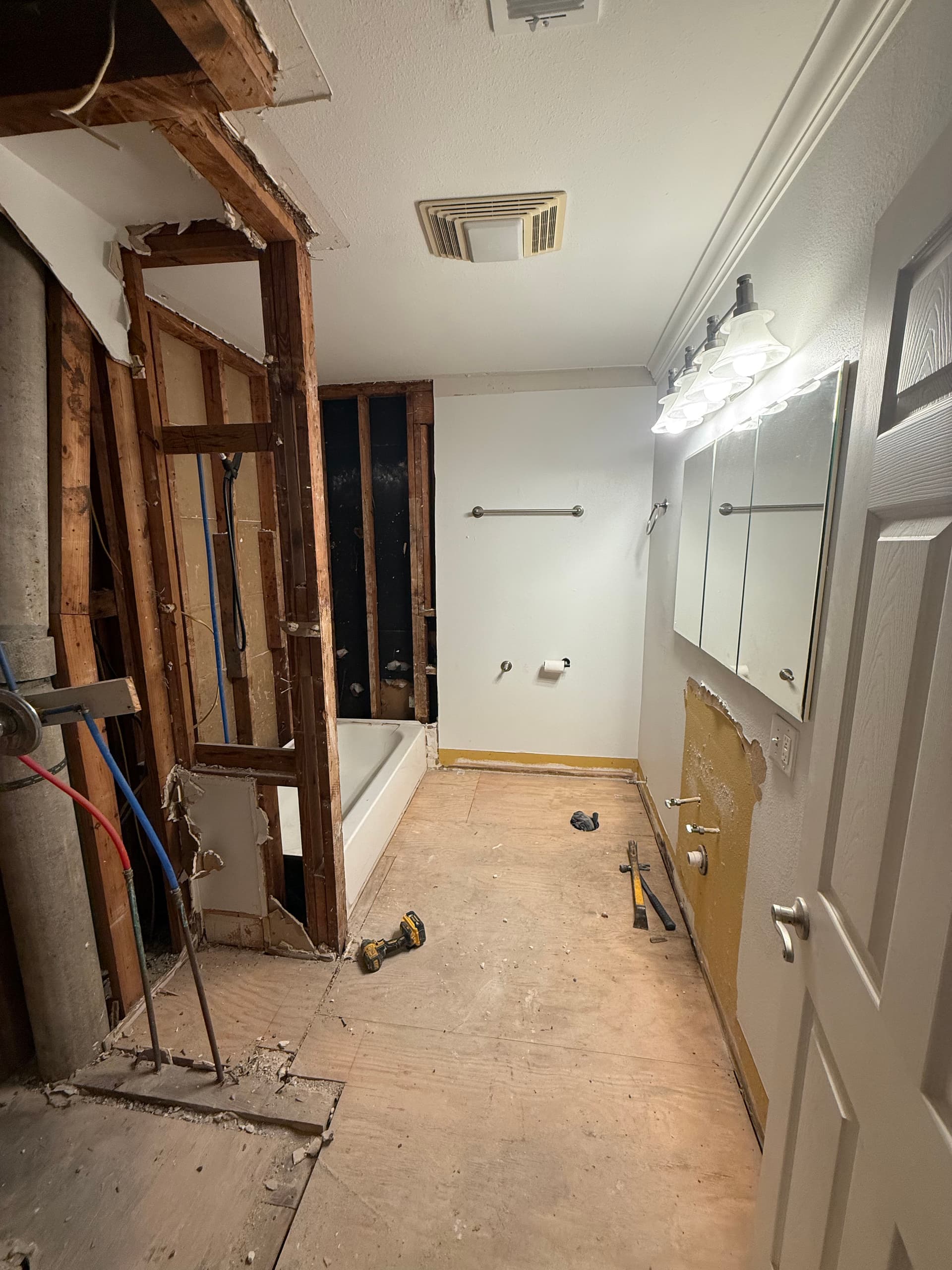 Gallery photos for New Orleans Bathroom Gut and Redesign Done Right: Image #8