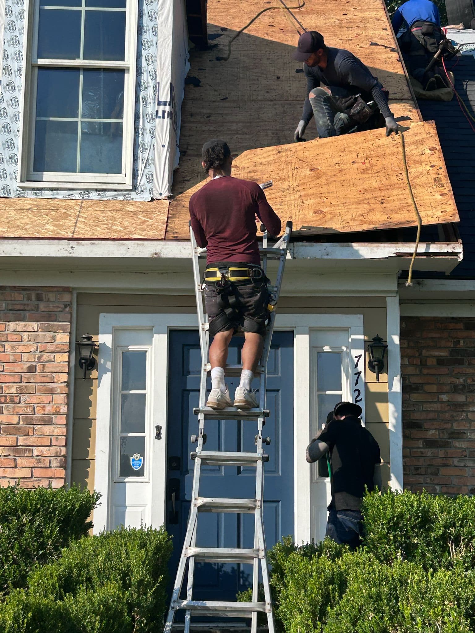 Gallery photos for Full Roof and Siding Replacement Handled Through Insurance: Image #8